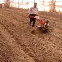 خدمات باغبانی . علف زنی .تیلر. سمپاشی. هرس|خدمات باغبانی و درختکاری|مشهد, کوی سیدی|دیوار