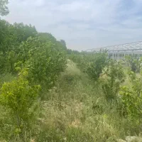 450مترباغچه-چهاردیواری-سنددار