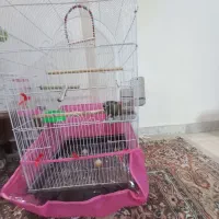 گرینچیک فول دستی سه ماهه