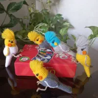 عروس هلندی