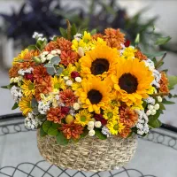 آتلیه می گل