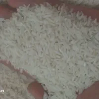 برنج هاشمی درجه ۱|خوردنی و آشامیدنی|رشت, یخسازی|دیوار