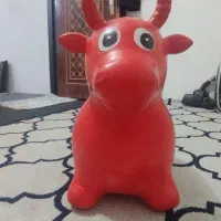 گاو بادی درحد نو