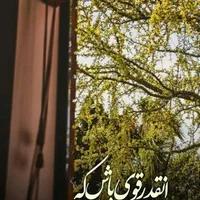 خدمات نظافتی هخامنش با 10 سال سابقه