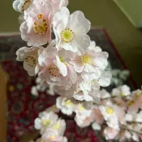گل شکوفه مصنوعی وارداتی