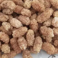 توت‌خشک‌اعلا‌