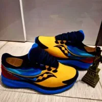 سایز چهل نیم