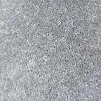 پالاز موکت تازه