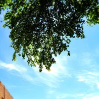 نیازمند-منزل-ویلایی-در-دونه