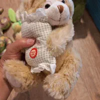 عروسکهای پولیشی