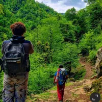 همسفر برای طبیعت