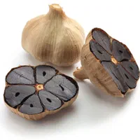 سیر سیاه