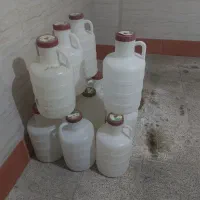 دبه خیارشور سالم