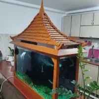 آکواریوم طرح ژاپنی