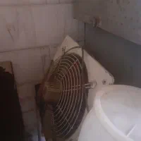 وسایل قنادی|فروشگاه و مغازه|ملایر, |دیوار