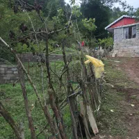 زمین در لوندویل سیرلیوه ۱۶۱متر|فروش زمین و ملک کلنگی|لوندویل, |دیوار