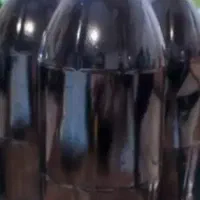 شیره. ( دوشاب)توت