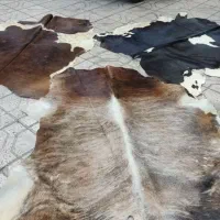 پوست تزیینی گاو|فرش|مشهد, هنرستان|دیوار