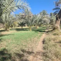 فروش اب کشاورزی