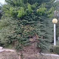 وام مهربانی با سود ۴ درصد