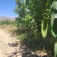 زمین درب بهشت