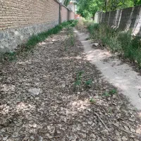 باغ ( سند ششدانگ ) جاده تهران|فروش دفتر صنعتی، کشاورزی، تجاری|تبریز, |دیوار