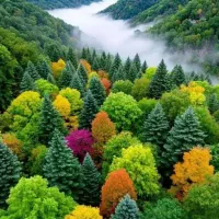 هرس. باغچه ودرخت. سم پاشی درختان وگل وگیاه|خدمات باغبانی و درختکاری|عباسآباد, |دیوار