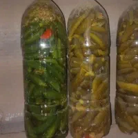 گلدان بزرگ|گل و گیاه طبیعی|اردبیل, |دیوار