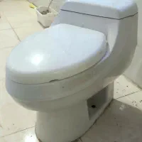 فرنگی کار کرده (سالم)