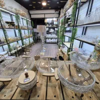 جا ادویه|صنایع دستی و سایر لوازم تزئینی|کوهدشت, |دیوار