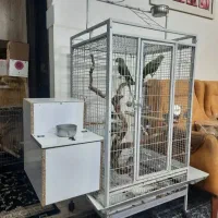 قفس پرنده . قفس بزرگ . قفس مسافرتی