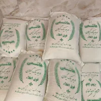 برنج ایرانی هاشمی و طارم هاشمی