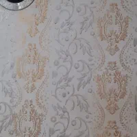 نقاش  ساختمان طرح کاغذی بادستگاه ایرلس|خدمات پیشه و مهارت|فاضل آباد, |دیوار