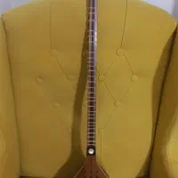 سه تار حرفه ای استاد بهنام کریمی|سازهای سنتی|همدان, |دیوار