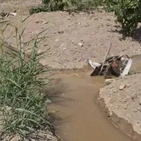فروش-باغچه-در-احمد-آباد-مستوفی