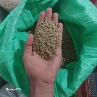 عدس زودپز اردبیل