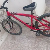 دوچرخه المپیک ۲۶