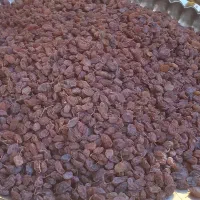 کشمش آفتابی‌تمیز