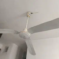 دو تا پنکه سقفی