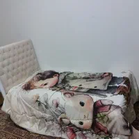 تخت دومنظوره کودک و نوجوان  آپادانا زیر قیمت