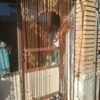 جفت پرده چوبی سنتی وزیبا