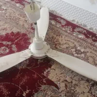 پنک سخفی|پنکه و تصفیه‌کنندهٔ هوا|تربت‌حیدریه, بالا ولایت|دیوار