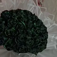 گل ربانی|گل مصنوعی|شیراز, تحویلی|دیوار