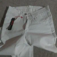 کیف|کیف، کفش، کمربند|سیرجان, |دیوار