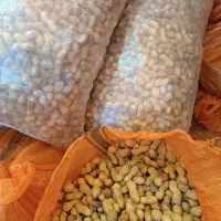 محصولات بادام زمینی پارس آباد|عمده‌فروشی|پارس‌آباد, |دیوار