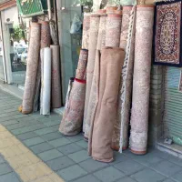 قرش|فرش|سنندج, |دیوار