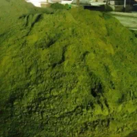 ارسال حنا از حناسابی|آرایشی، بهداشتی، درمانی|ابرکوه, |دیوار