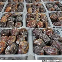 محصولات جنوب خرما ماهی میگو ارده