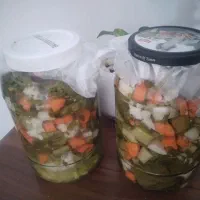 سالاد فصل و ترشی خانگی|خوردنی و آشامیدنی|پاکدشت, شهرک امام رضا|دیوار