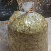 باقالی کشاورزی|خوردنی و آشامیدنی|رشت, جانبازان|دیوار